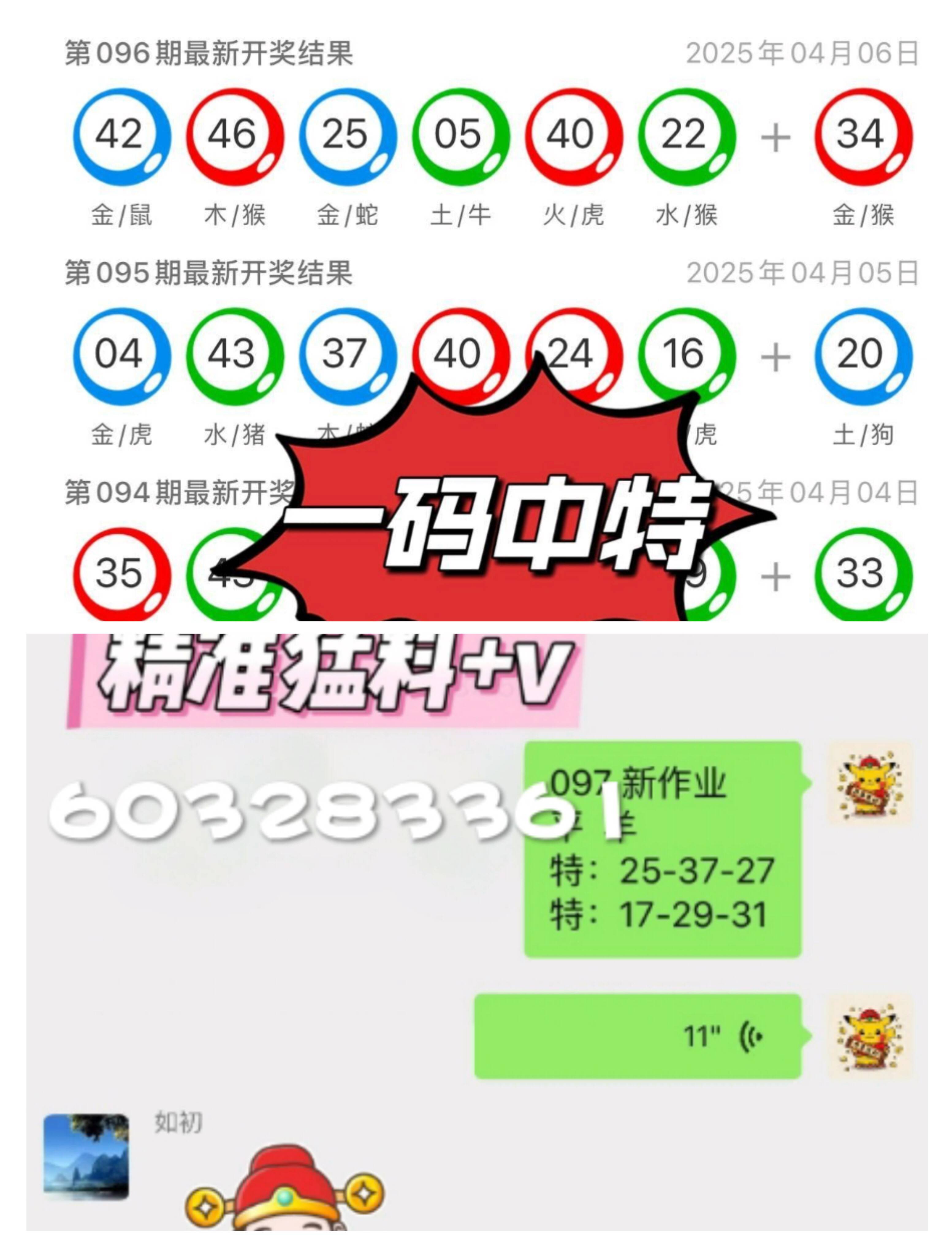 探索未來，2025新澳門九肖展望，2025新澳門九肖展望，探索未來之路