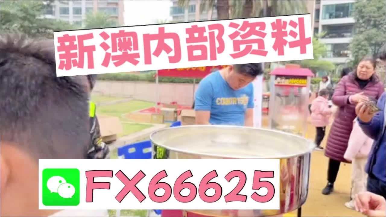 新奧2025資料大全最新版本，全面解析與深度洞察，新奧2025資料大全最新版，全面解析與深度洞察報(bào)告