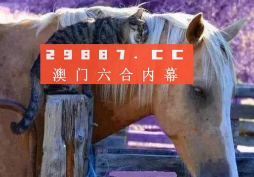 澳門一肖一碼一待一中四不像，探索與解析，澳門一肖一碼一待一中四不像，深度解析與探索
