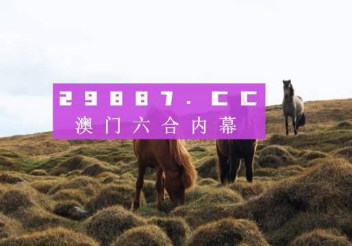 澳門(mén)今晚開(kāi)獎(jiǎng)什么，揭秘彩票背后的秘密與策略分析，澳門(mén)彩票開(kāi)獎(jiǎng)揭秘，策略分析與秘密探索
