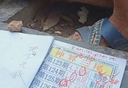 香港中特期期準資料，深度解析與探索，香港中特期期準資料深度解析與探索報告