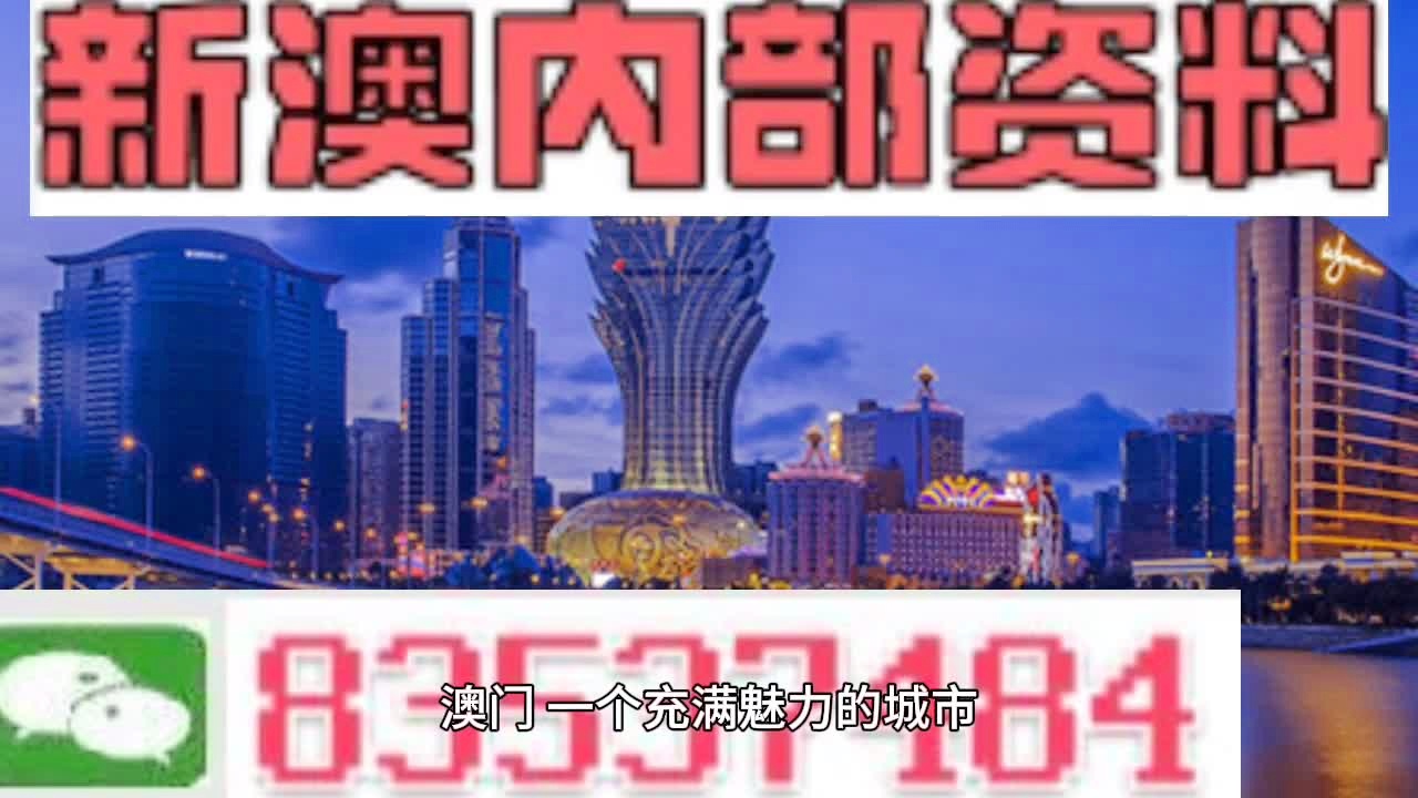 探索新澳門，走進13577.com的精彩世界，探索新澳門，揭秘精彩世界，走進13577.com