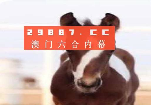 澳門一肖一碼狀元紅，揭秘彩票背后的秘密與策略，澳門彩票揭秘，狀元紅背后的秘密與策略解析