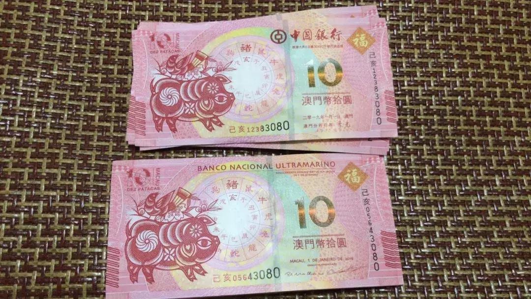 新澳門生肖走勢圖，深度解析與預(yù)測，澳門生肖走勢圖深度解析及預(yù)測報告