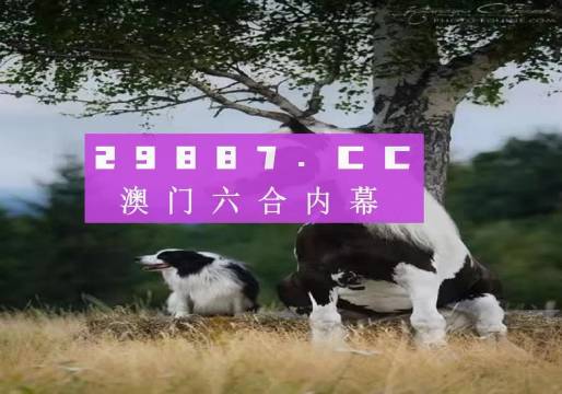 澳門(mén)天天空彩官網(wǎng)資料，探索彩票世界的門(mén)戶，澳門(mén)天天空彩官網(wǎng)資料，彩票世界探索門(mén)戶