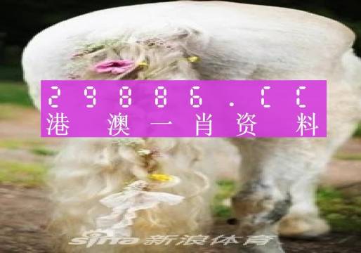 澳門羊了個羊與各大圖庫的資料揭秘，2023年澳門今晚必中一肖一碼永久免費資料庫大解密，澳門羊了個羊與資料庫揭秘，2023年必中一肖一碼永久免費資料大解密
