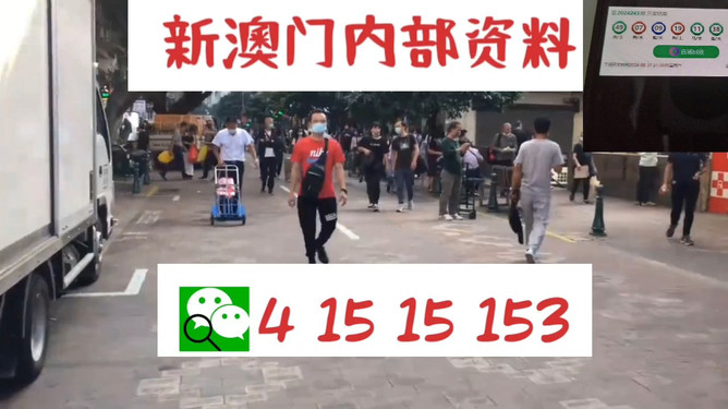 澳門管家婆，揭秘一種獨(dú)特的文化現(xiàn)象與娛樂體驗(yàn)，澳門管家婆，文化現(xiàn)象與娛樂體驗(yàn)的揭秘