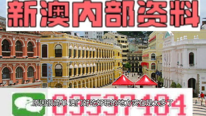 澳門精準(zhǔn)資料大全免費(fèi)，探索與解析，澳門精準(zhǔn)資料大全免費(fèi)解析探索