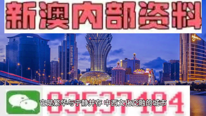 新澳王中王100%的資料詳解，新澳王中王100%資料詳解概覽