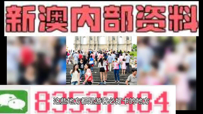 新澳天天開獎(jiǎng)資料大全旅游團(tuán)——探索澳門的魅力之旅，澳門魅力探索之旅，新澳天天開獎(jiǎng)資料大全旅游團(tuán)