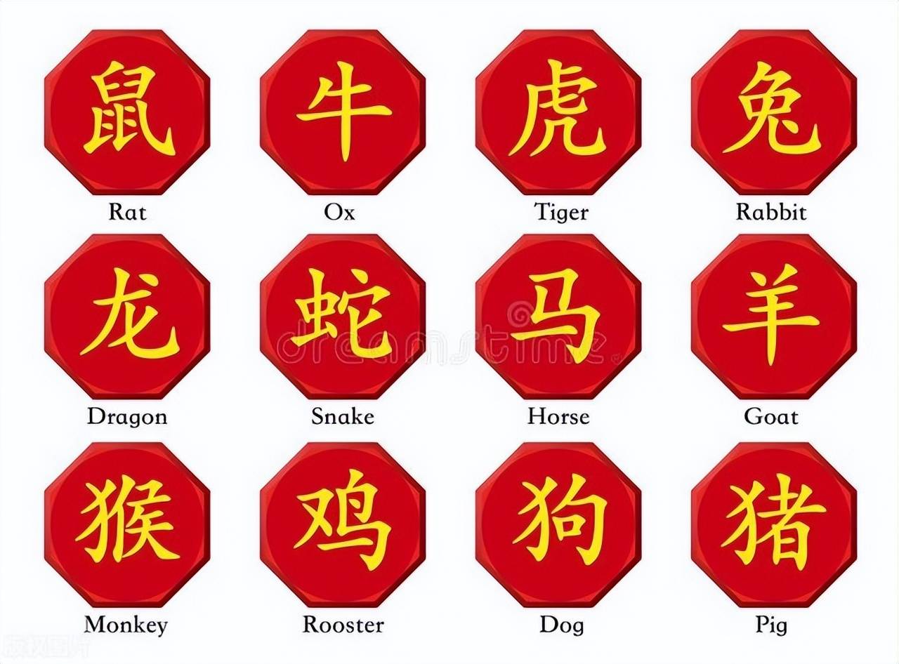 新澳特碼，羊?；⒏鲾?shù)10——揭秘背后的數(shù)字奧秘，揭秘新澳特碼數(shù)字奧秘，羊?；⒏鲾?shù)背后的秘密