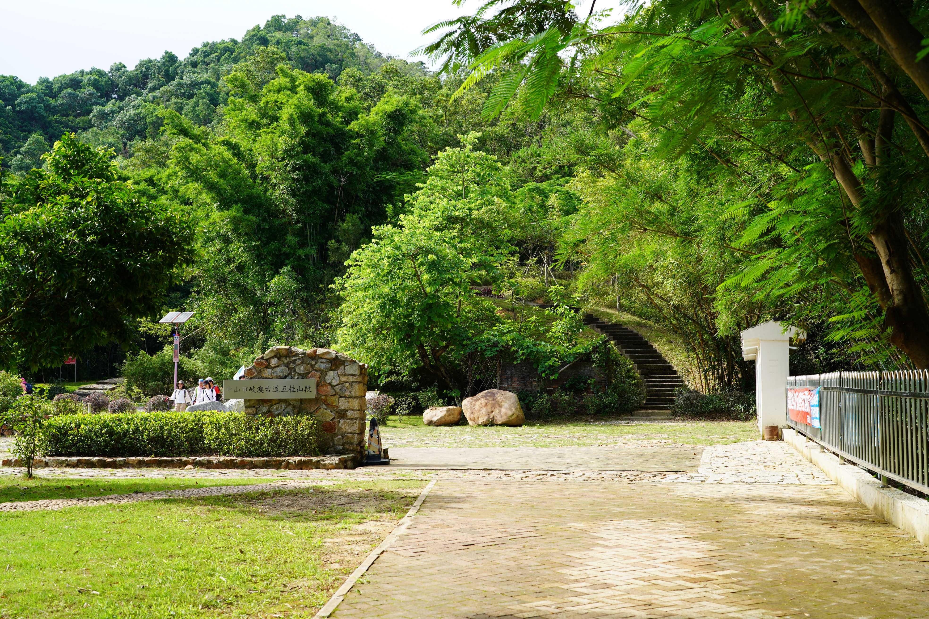 新澳門彩生肖走勢圖，探索與解讀彩票背后的秘密，探索解讀新澳門彩生肖走勢圖，彩票背后的秘密揭秘