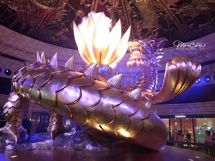 澳門無錯(cuò)七尾，探索與解析，澳門無錯(cuò)七尾，深度探索與解析