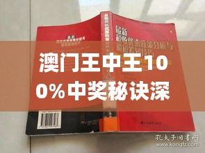 新澳門王中王期期中，探索與解析，新澳門王中王期期中，深度探索與解析