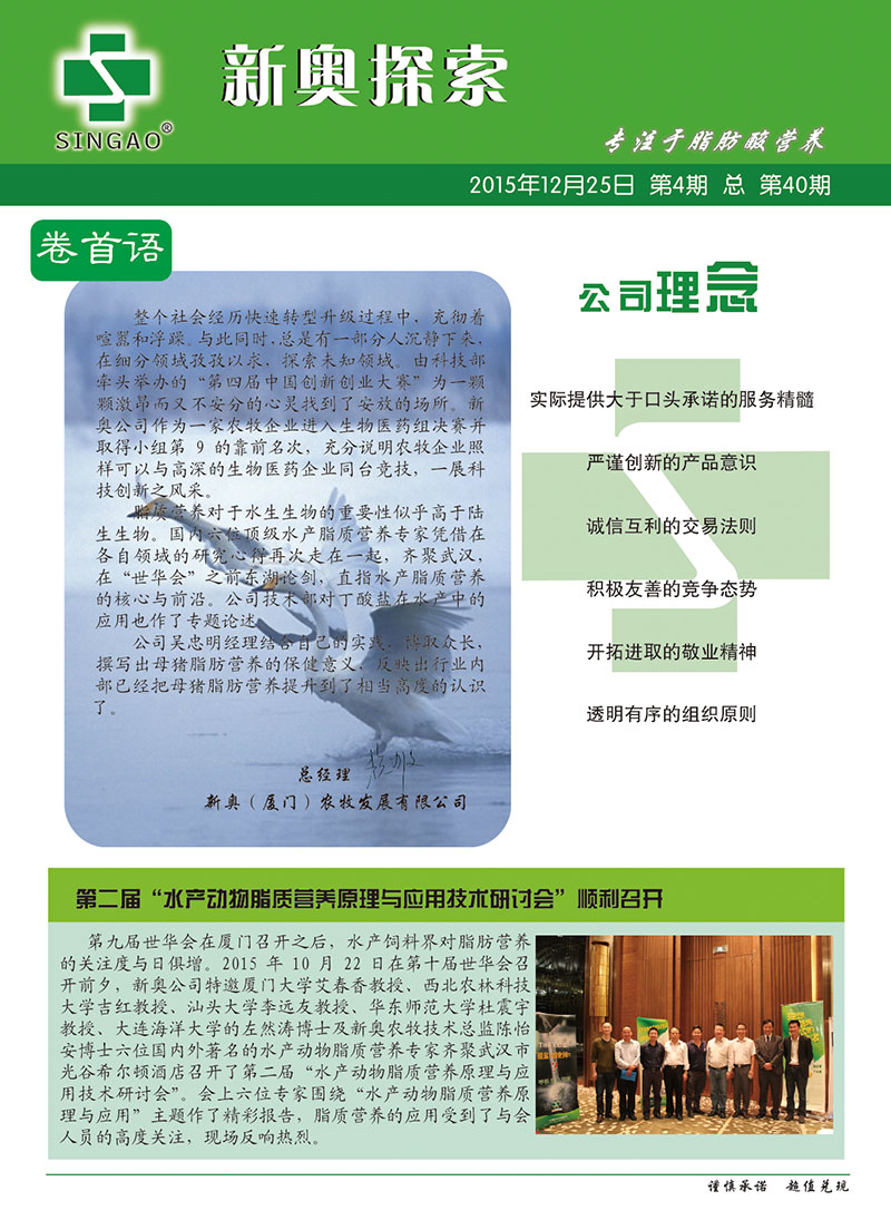 2025新澳正版資料查詢指南，2025新澳正版資料查詢手冊(cè)