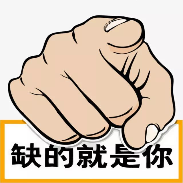 鐵算盤(pán)，全網(wǎng)矚目，傾力打造引領(lǐng)潮流的火熱品牌！，鐵算盤(pán)引領(lǐng)潮流，全網(wǎng)矚目成火熱品牌！