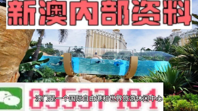 新澳的資料去哪里找——全面指南，新澳資料全攻略，尋找資料的途徑與指南