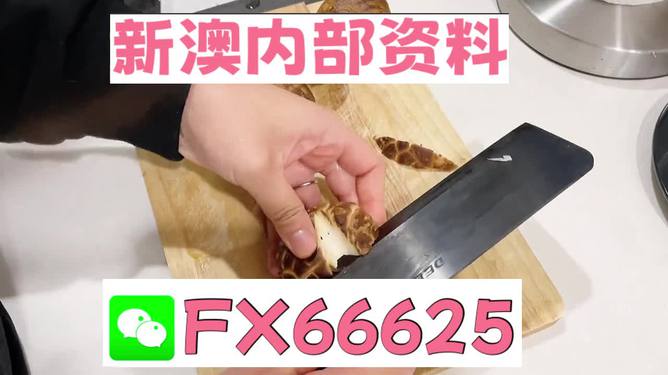 澳門九點半9點半網(wǎng)站——探索其魅力與優(yōu)勢，澳門九點半網(wǎng)站，魅力與優(yōu)勢探索