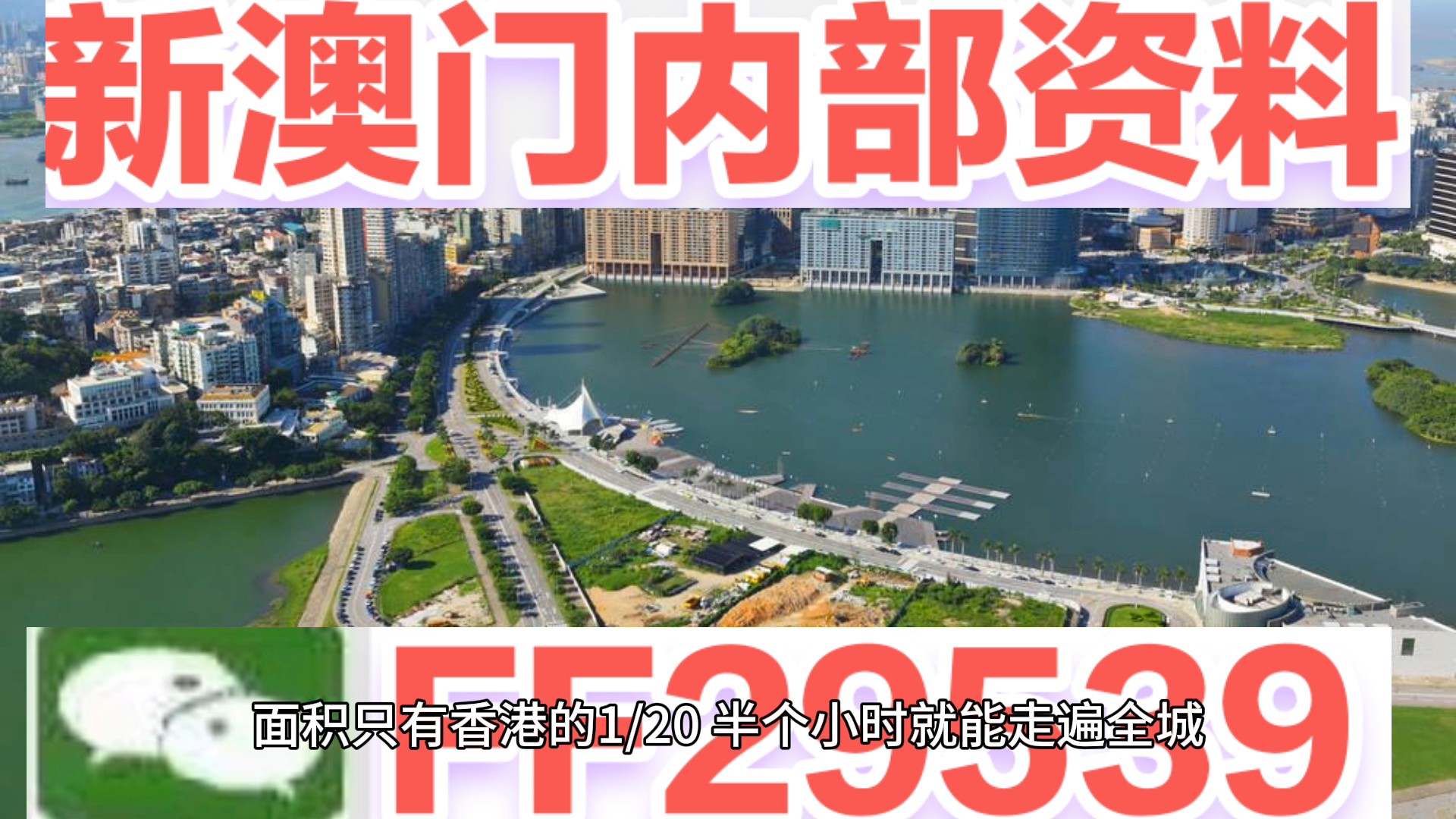 澳門(mén)特碼，探索其背后的秘密與魅力，澳門(mén)特碼背后的秘密與魅力探索