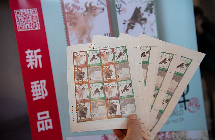 澳門值日生肖600圖庫(kù)與八百圖庫(kù)開(kāi)獎(jiǎng)，探索生肖圖庫(kù)的魅力與奧秘，澳門生肖圖庫(kù)開(kāi)獎(jiǎng)揭秘，探索值日生肖600圖庫(kù)與八百圖庫(kù)的魅力與奧秘