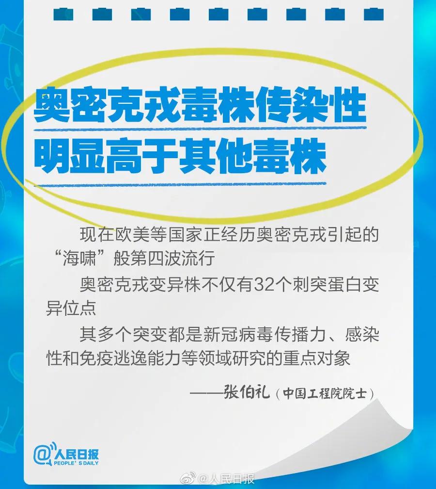 新奧2025最新資料