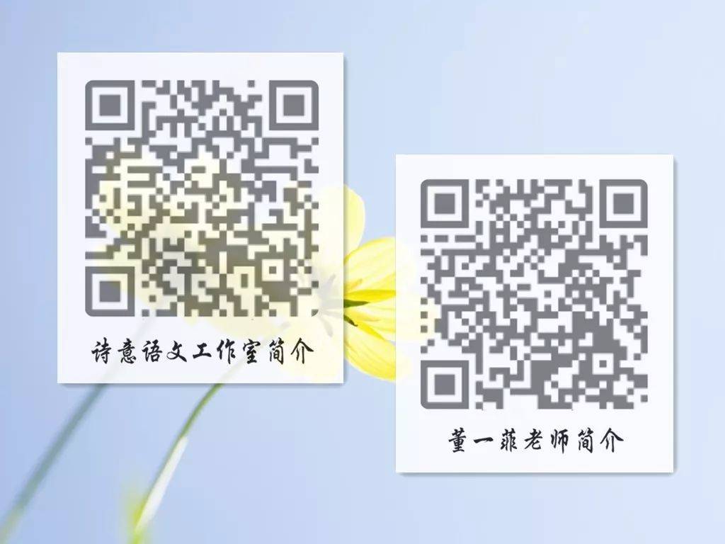 一碼一肖一特一，揭秘背后的秘密與獨(dú)特之處，揭秘一碼一肖一特一的獨(dú)特之處與背后秘密