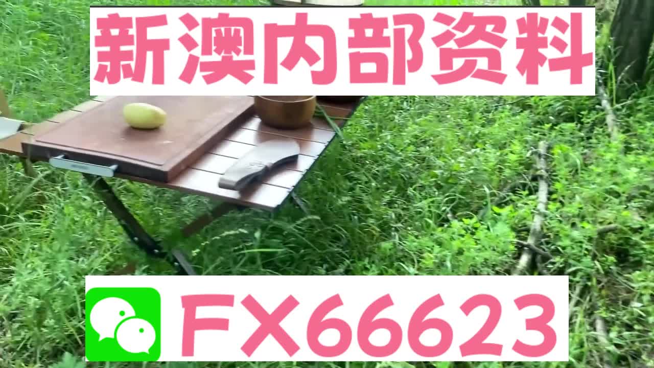新奧特碼走勢(shì)圖解析與預(yù)測(cè)，新奧特碼走勢(shì)圖解析與預(yù)測(cè)，未來趨勢(shì)探討