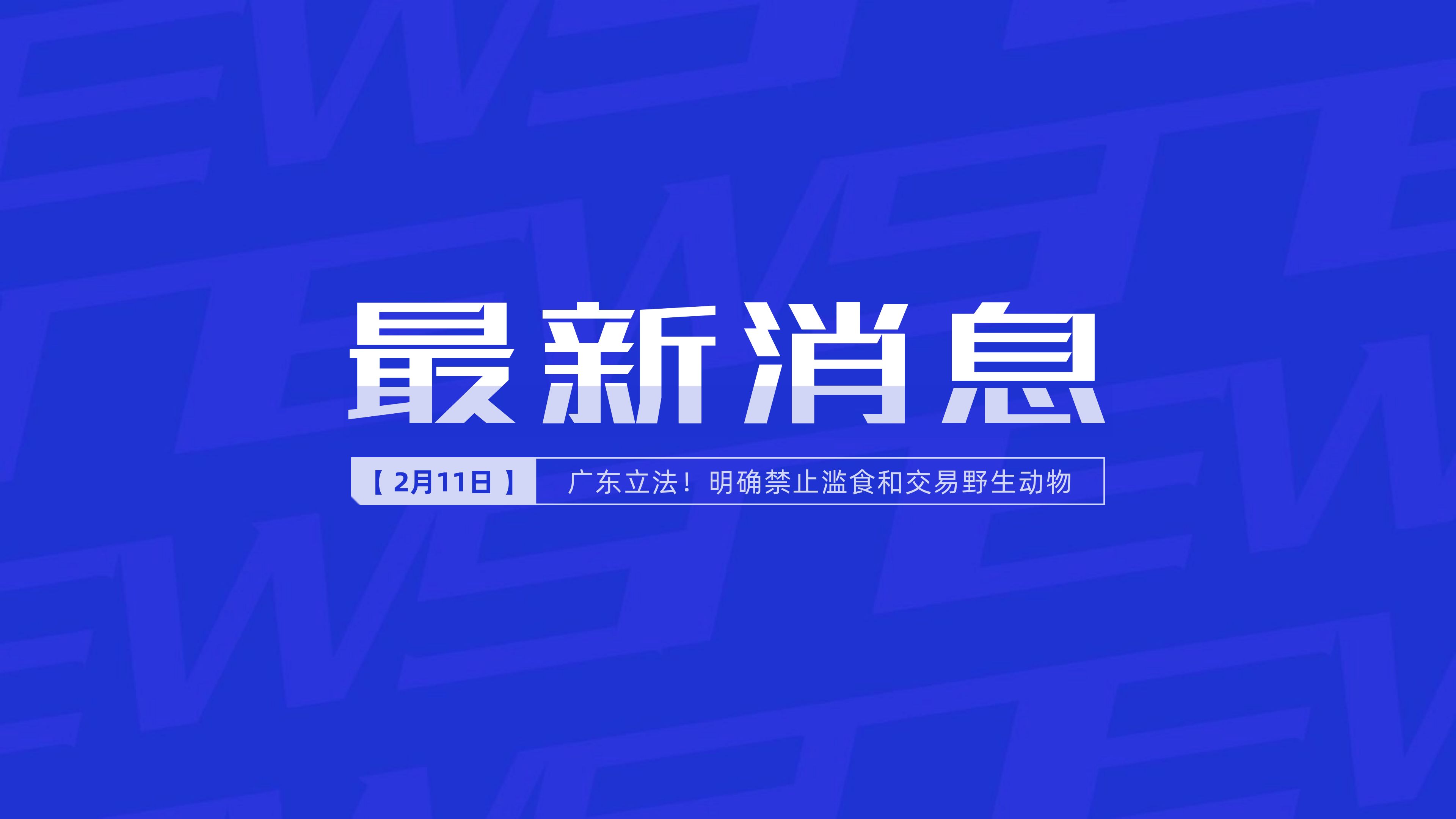 澳門