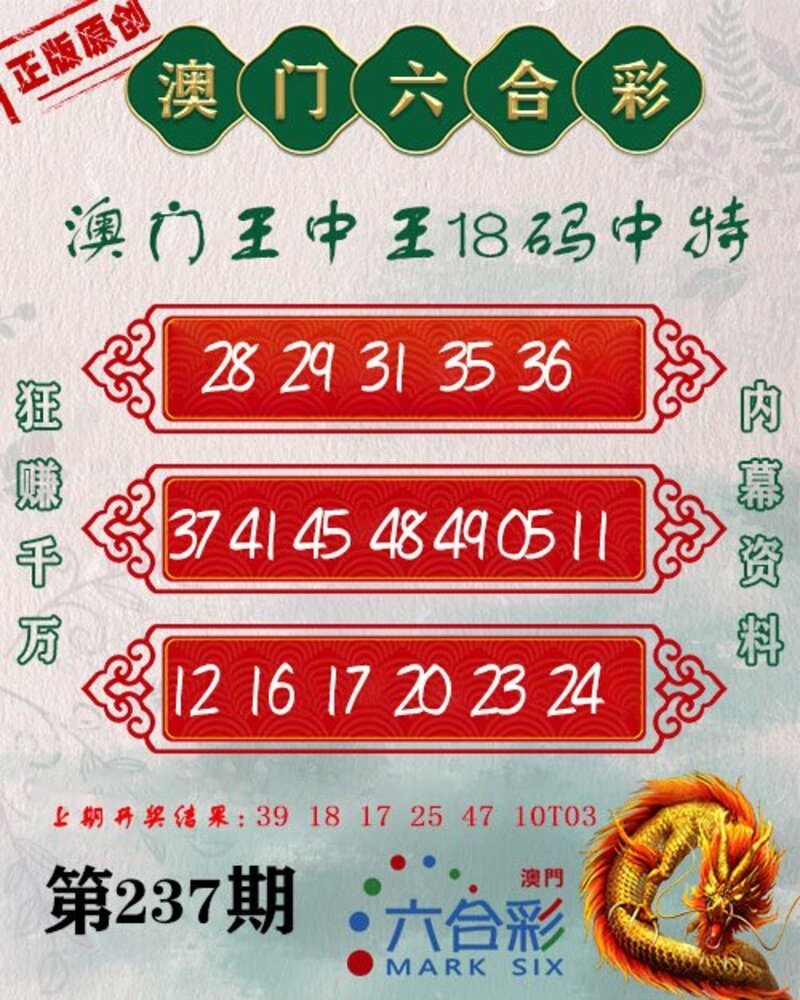 新澳門王中王期期中，探索與解析，新澳門王中王期期中，深度探索與解析