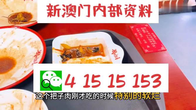 澳門王中王六碼新澳門，探索與解析，澳門王中王六碼新澳門，深度探索與解析