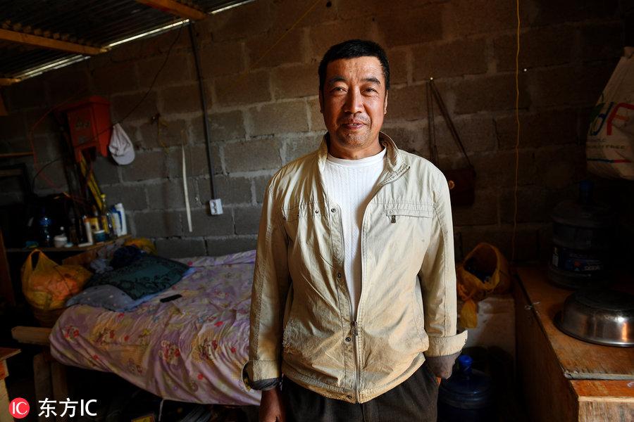博科圣地組織，深度解析與理解，博科圣地組織深度解析與探究