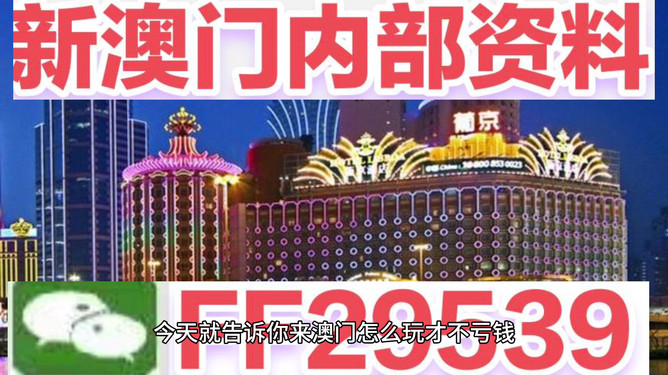 澳門今晚必開一肖——揭秘生肖彩票的魅力與策略，澳門生肖彩票揭秘，策略與魅力探索