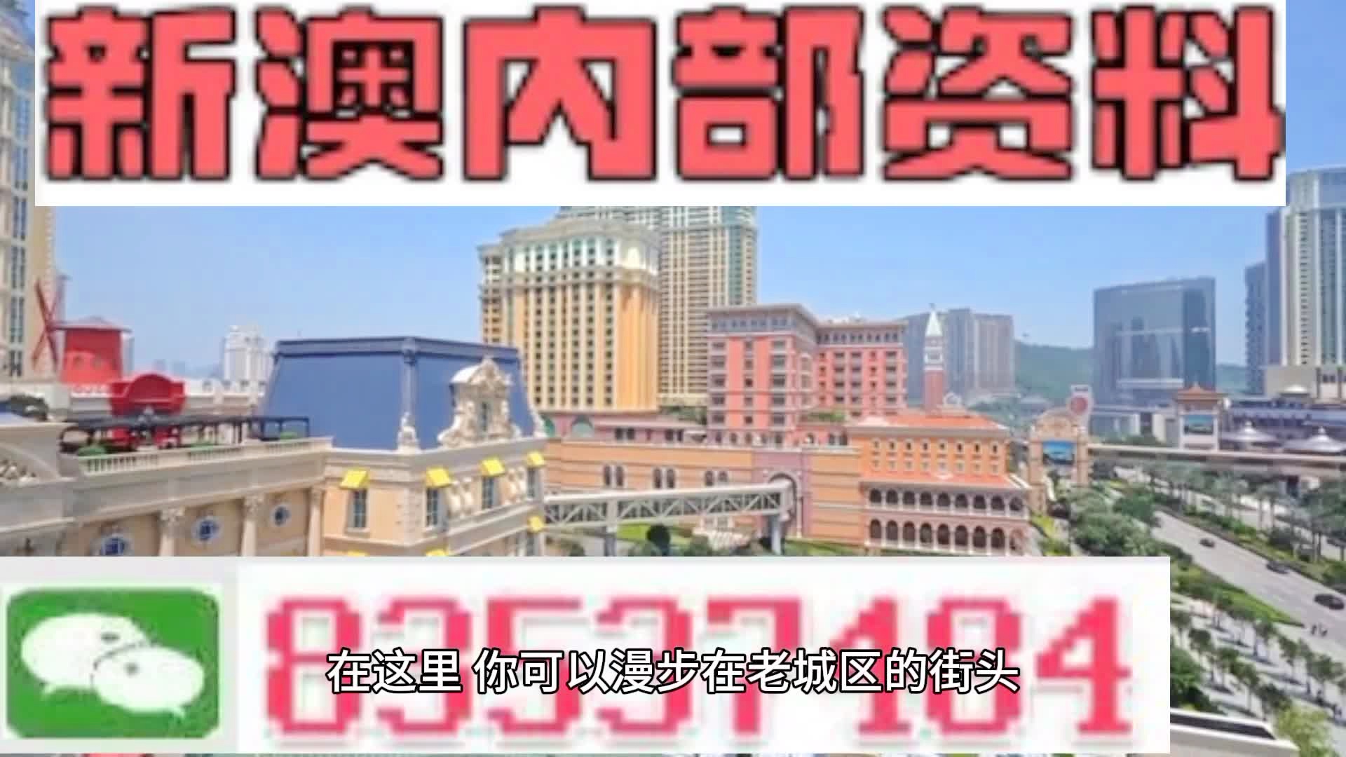 新澳門期期準精準，探索澳門的未來與SEO策略，澳門未來展望與SEO策略探索，精準瞄準新機遇