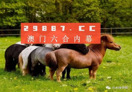 王中王四不像正版一肖中特圖，揭秘背后的秘密與獨特魅力，揭秘王中王四不像正版一肖中特圖的獨特魅力和背后秘密