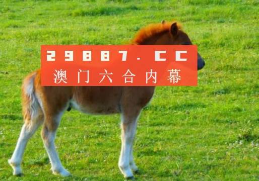 澳門答家婆一肖一馬一中一特，揭秘背后的秘密與獨(dú)特文化魅力，澳門文化魅力深度解析，答家婆一肖一馬一中一特的獨(dú)特傳統(tǒng)與秘密
