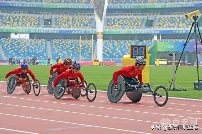 2025年澳門精準免費大全——全面解析澳門未來展望與特色體驗，澳門未來展望與特色體驗解析，澳門精準免費大全（2025版）