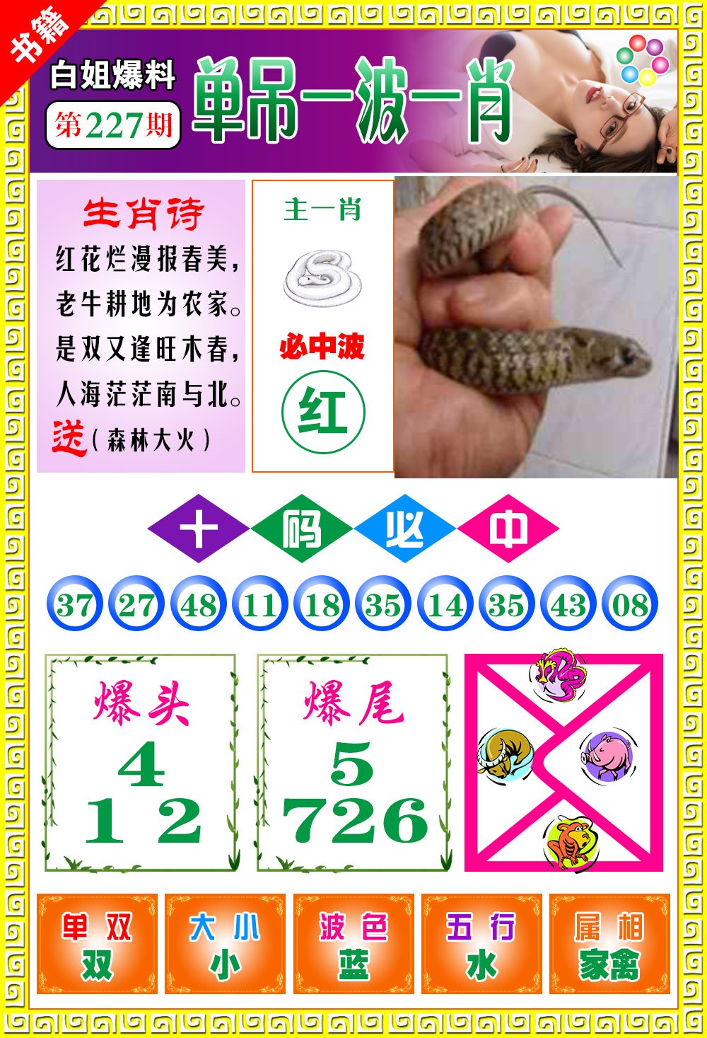 王中王100期期一肖，深度解析與SEO優(yōu)化策略，王中王100期期一肖深度解析與SEO策略全解析