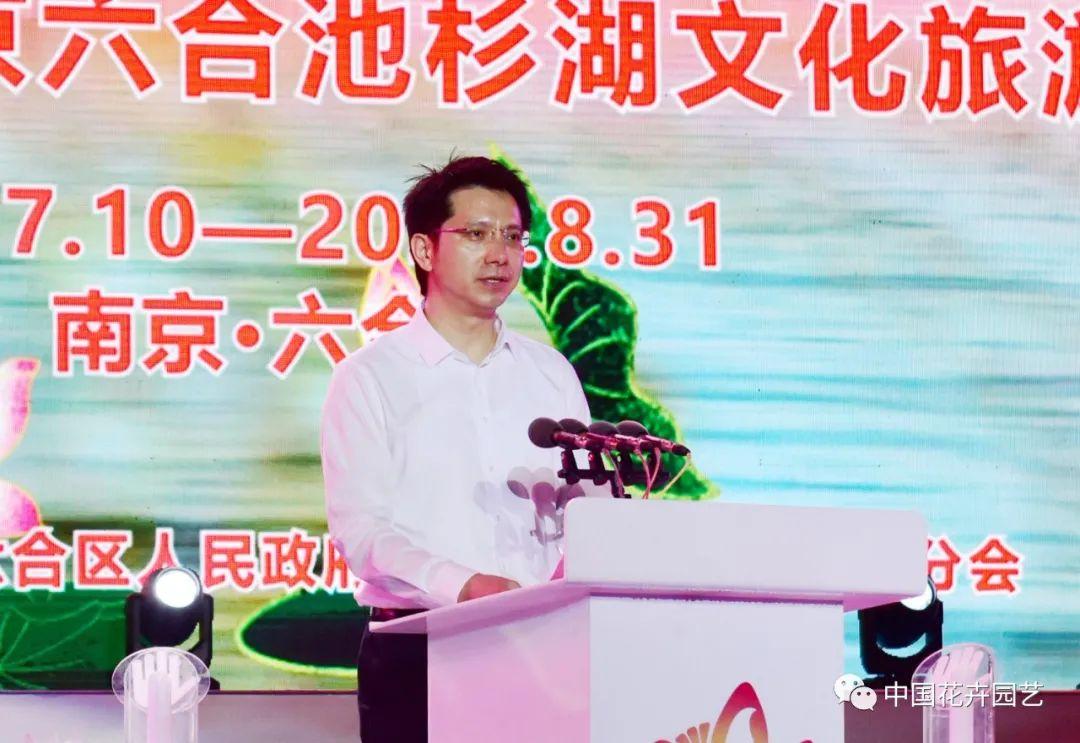 深度分析與預(yù)測報告