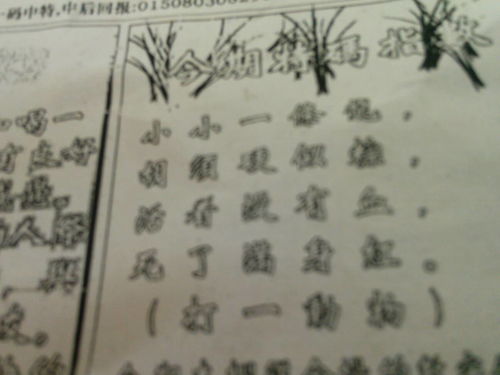 劉伯溫09期平碼一肖——揭秘預(yù)測(cè)之謎，劉伯溫09期平碼一肖預(yù)測(cè)揭秘，揭秘預(yù)測(cè)之謎