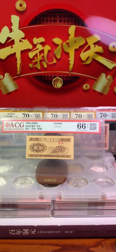 王中王致家一肖，解析背后的故事與奧秘，揭秘王中王致家一肖背后的故事與奧秘