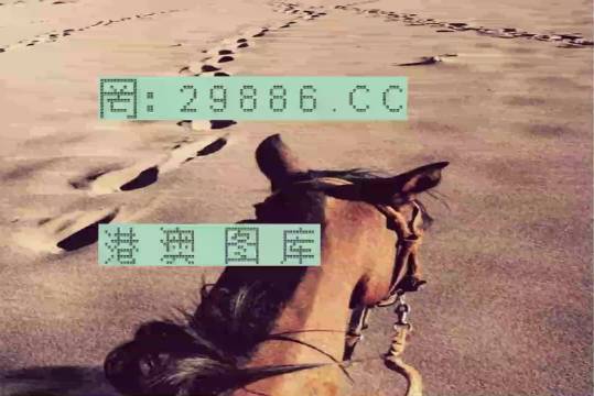 香港特馬資料王中王24期，深度解析與探索，香港特馬資料王中王深度解析與探索，第24期探索之旅