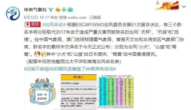 新澳門必中三肖三碼三期必開劉伯，揭秘彩票背后的秘密與策略，揭秘彩票背后的秘密與策略，劉伯的新澳門三期必開三肖三碼預(yù)測技巧