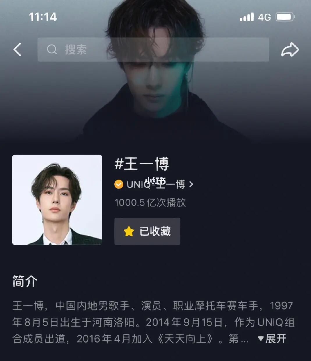 王中王一肖內(nèi)部資料詳解，王中王一肖內(nèi)部資料深度解析