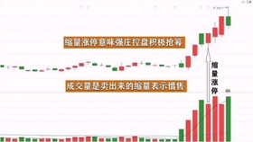 王中王一肖平碼，揭秘背后的故事與SEO策略，王中王一肖平碼背后的故事與SEO策略揭秘