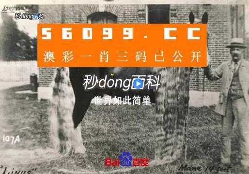 澳門王中王心水王中王，探索與解析，澳門王中王心水奧秘，深度探索與解析