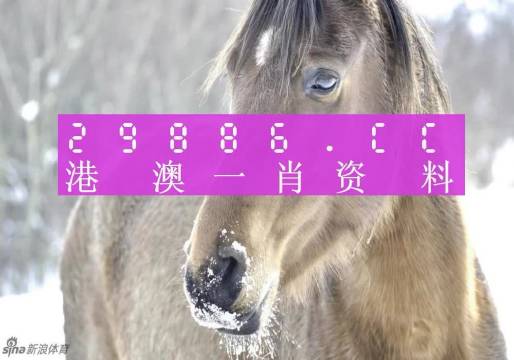 澳門一肖一碼背后的故事，一個關(guān)于精準預(yù)測與傳奇的揭秘，澳門一肖一碼傳奇背后的精準預(yù)測與揭秘之旅