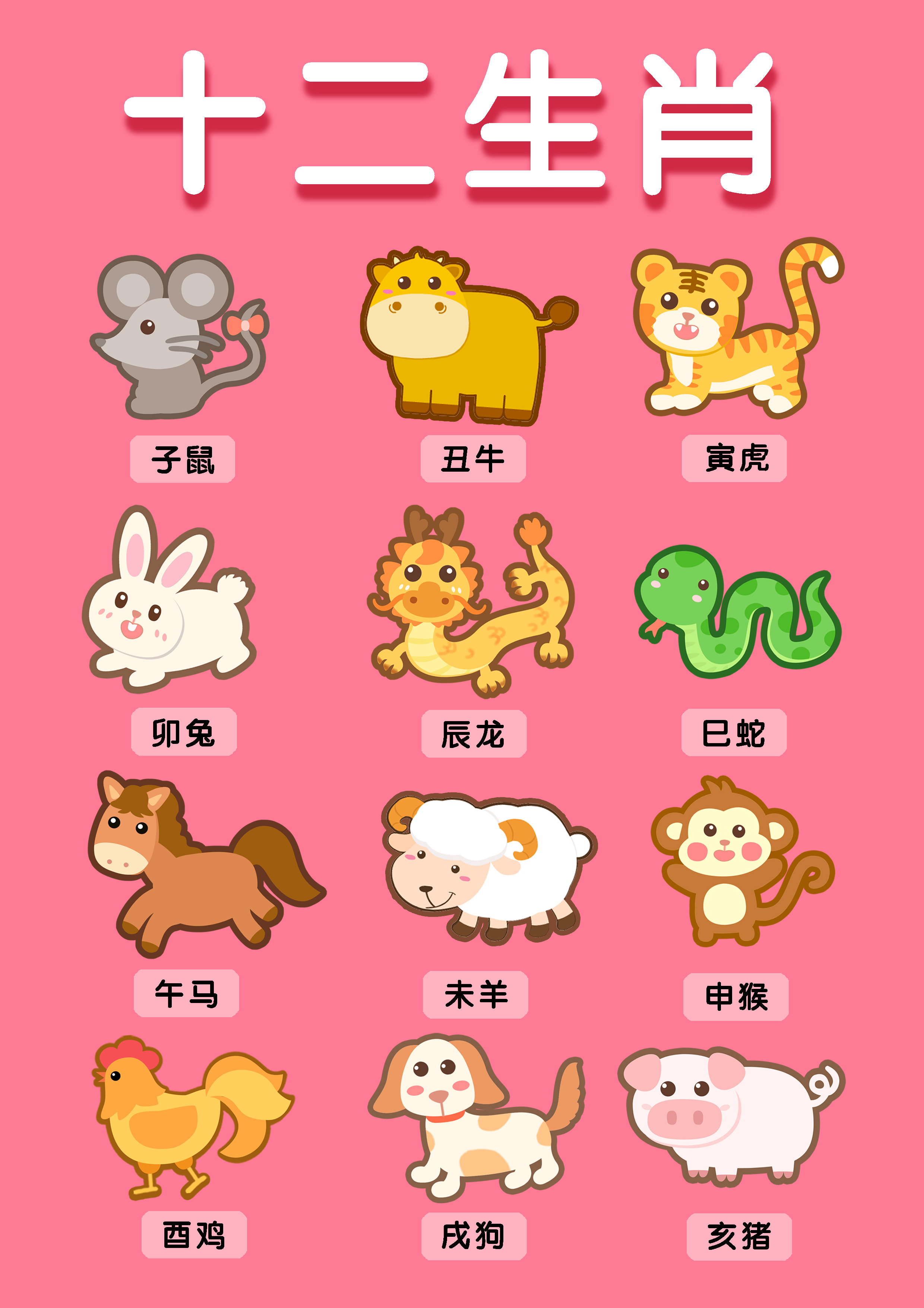一肖有哪些生肖——生肖文化深度解析，生肖文化深度解析，揭秘十二生肖中的一肖奧秘