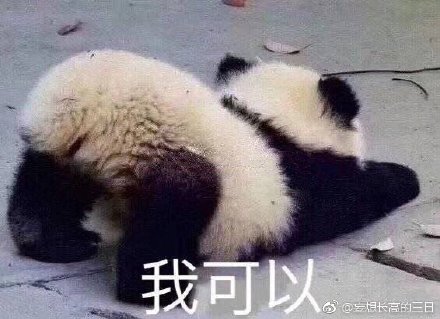 澳門精準(zhǔn)四不像最新正版，揭秘與探索，澳門精準(zhǔn)四不像揭秘與探索最新正版資訊