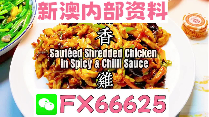 新奧天天精準(zhǔn)資料大全，全方位解讀與應(yīng)用指南，新奧天天精準(zhǔn)資料大全，全方位解讀與應(yīng)用指南手冊(cè)