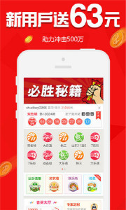 王中王欲錢請猜一肖，揭秘生肖之謎與SEO策略，揭秘生肖之謎與SEO策略，王中王欲錢請猜一肖的奧秘
